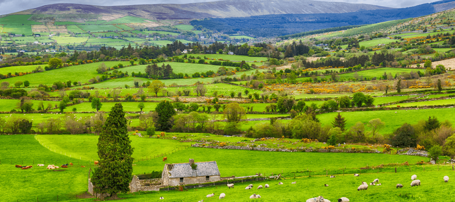 Emerald Experience: A Guided Tour of Ireland with Shelley's Sun & Sand Travel