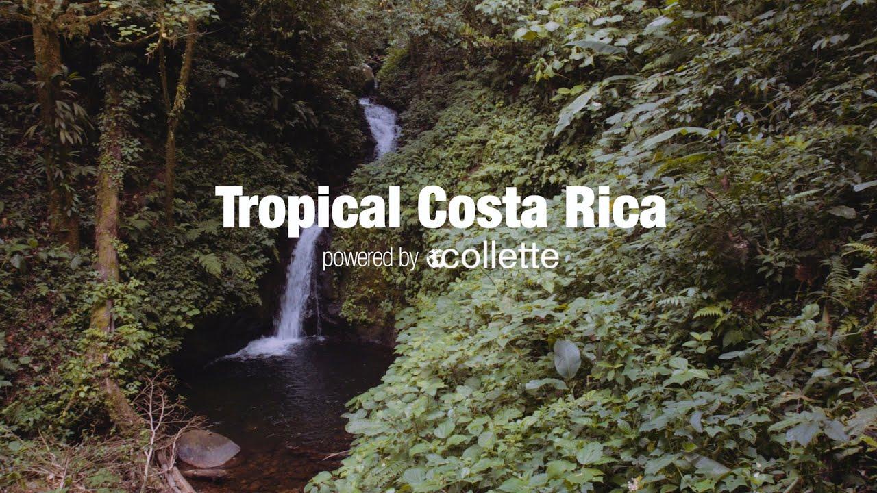 Tropical Costa Rica Feb 9-17, 2022 - background banner